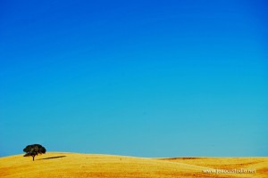 Alentejo-fake_hdr